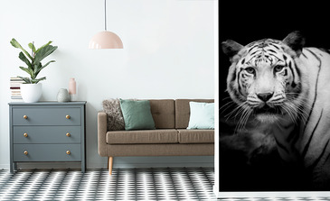 Visualisation du produit