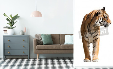 Visualisation du produit