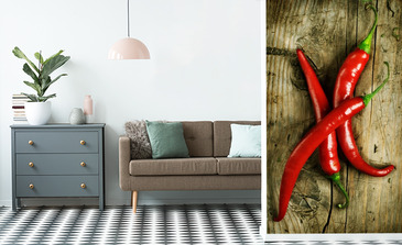 Visualisation du produit