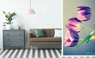 Visualisation du produit