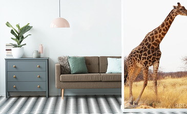 Visualisation du produit