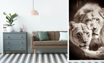 Visualisation du produit