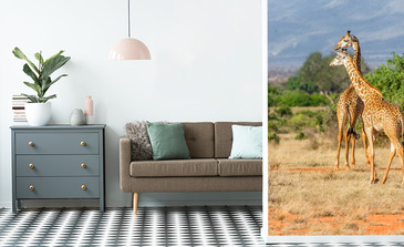 Visualisation du produit