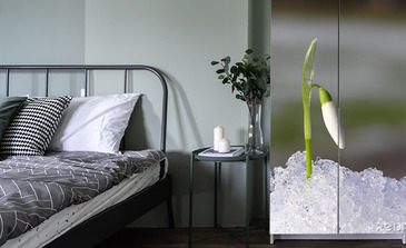 Visualisation du produit