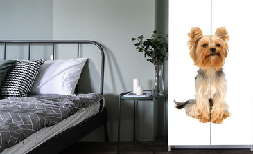 Visualisation du produit