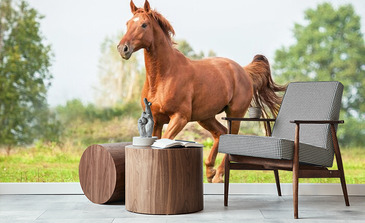 Visualisation du produit