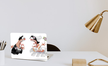 Visualisation du produit