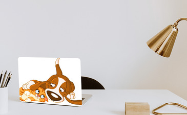 Visualisation du produit