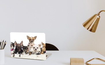 Visualisation du produit