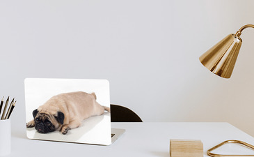 Visualisation du produit