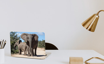 Visualisation du produit