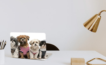 Visualisation du produit