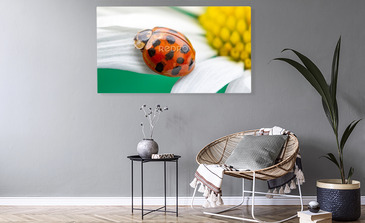 Visualisation du produit