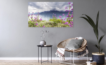 Visualisation du produit