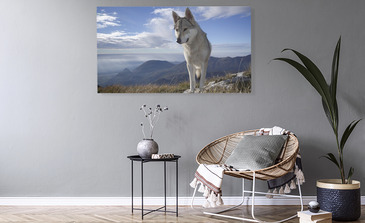 Visualisation du produit