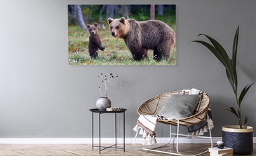 Visualisation du produit