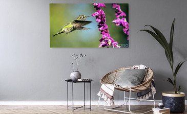 Visualisation du produit