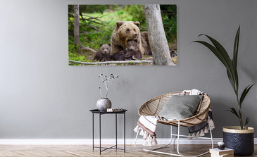 Visualisation du produit