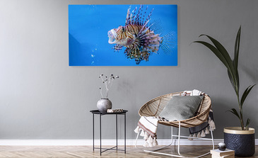 Visualisation du produit