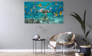 Visualisation du produit