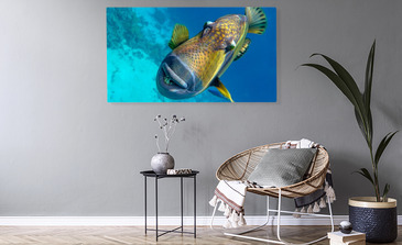 Visualisation du produit