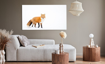 Visualisation du produit