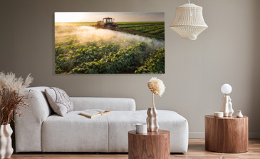 Visualisation du produit