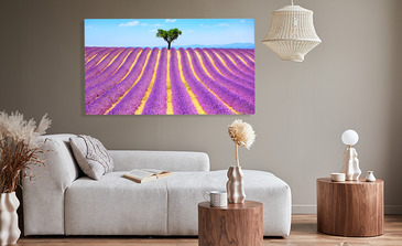 Visualisation du produit