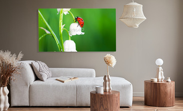 Visualisation du produit