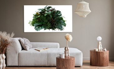 Visualisation du produit