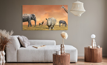 Visualisation du produit