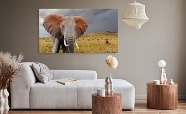 Visualisation du produit