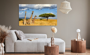 Visualisation du produit