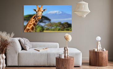 Visualisation du produit