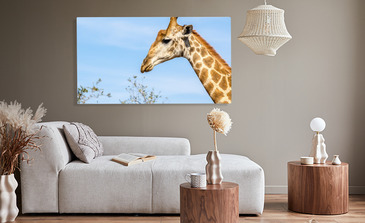 Visualisation du produit