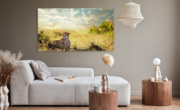 Visualisation du produit