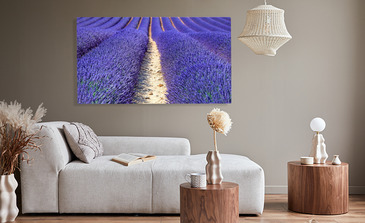 Visualisation du produit