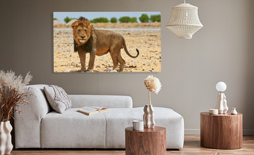 Visualisation du produit