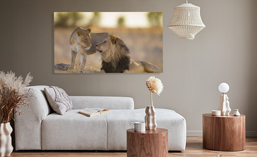 Visualisation du produit