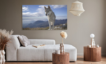 Visualisation du produit