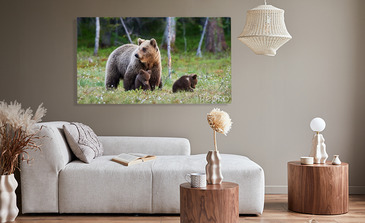 Visualisation du produit