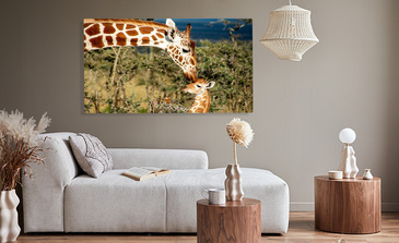 Visualisation du produit