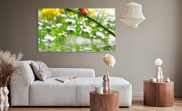 Visualisation du produit