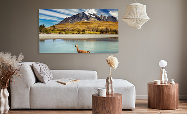 Visualisation du produit