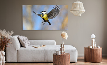 Visualisation du produit