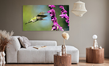 Visualisation du produit