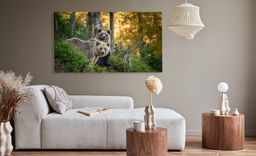 Visualisation du produit