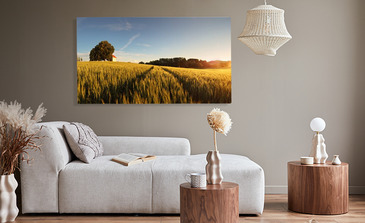 Visualisation du produit