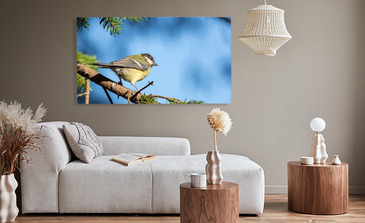 Visualisation du produit