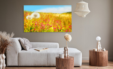 Visualisation du produit